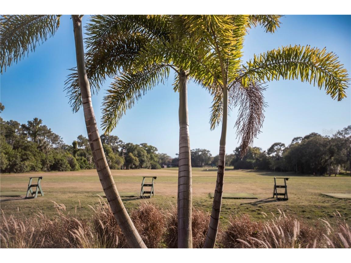 36750 Us 19 #2052 Palm Harbor FL 34684 U8239223 image62