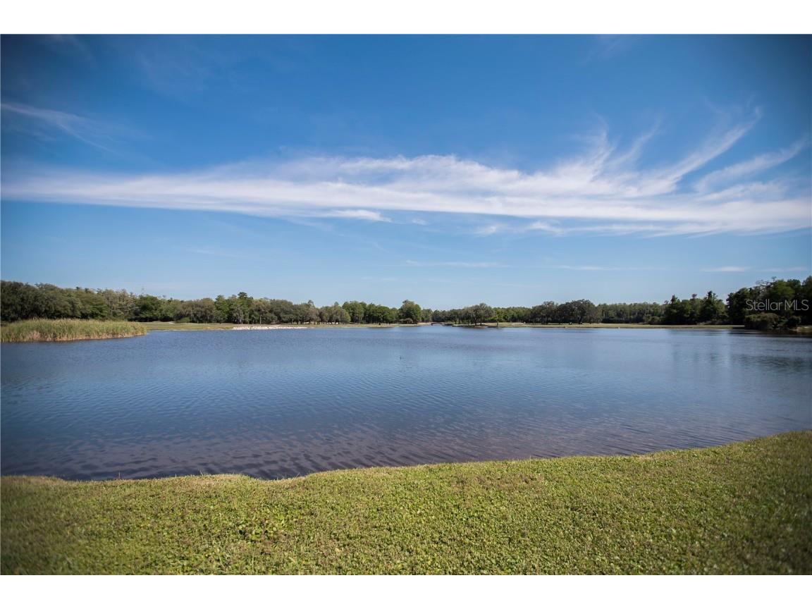 36750 Us 19 #2052 Palm Harbor FL 34684 U8239223 image63