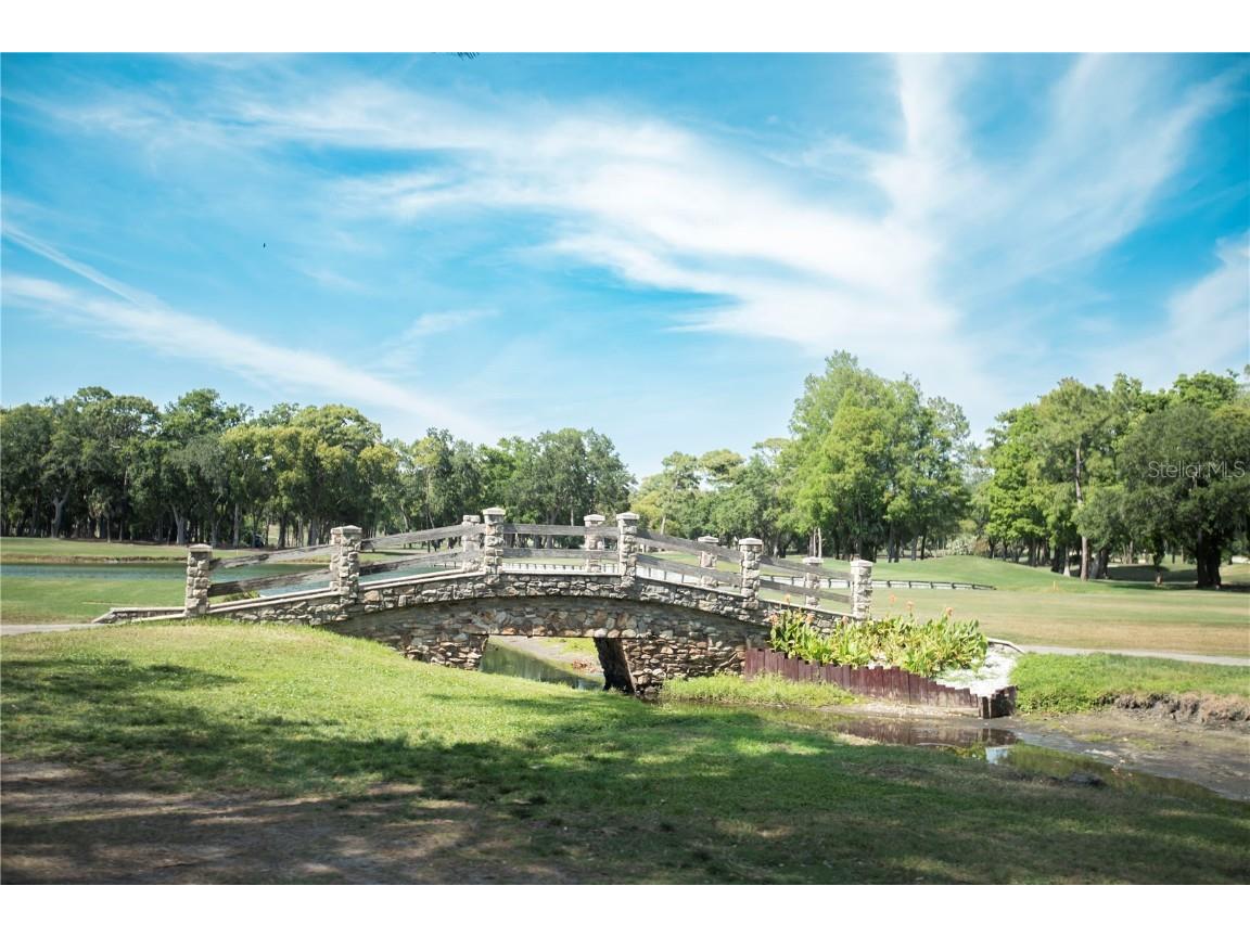 36750 Us 19 #2052 Palm Harbor FL 34684 U8239223 image66