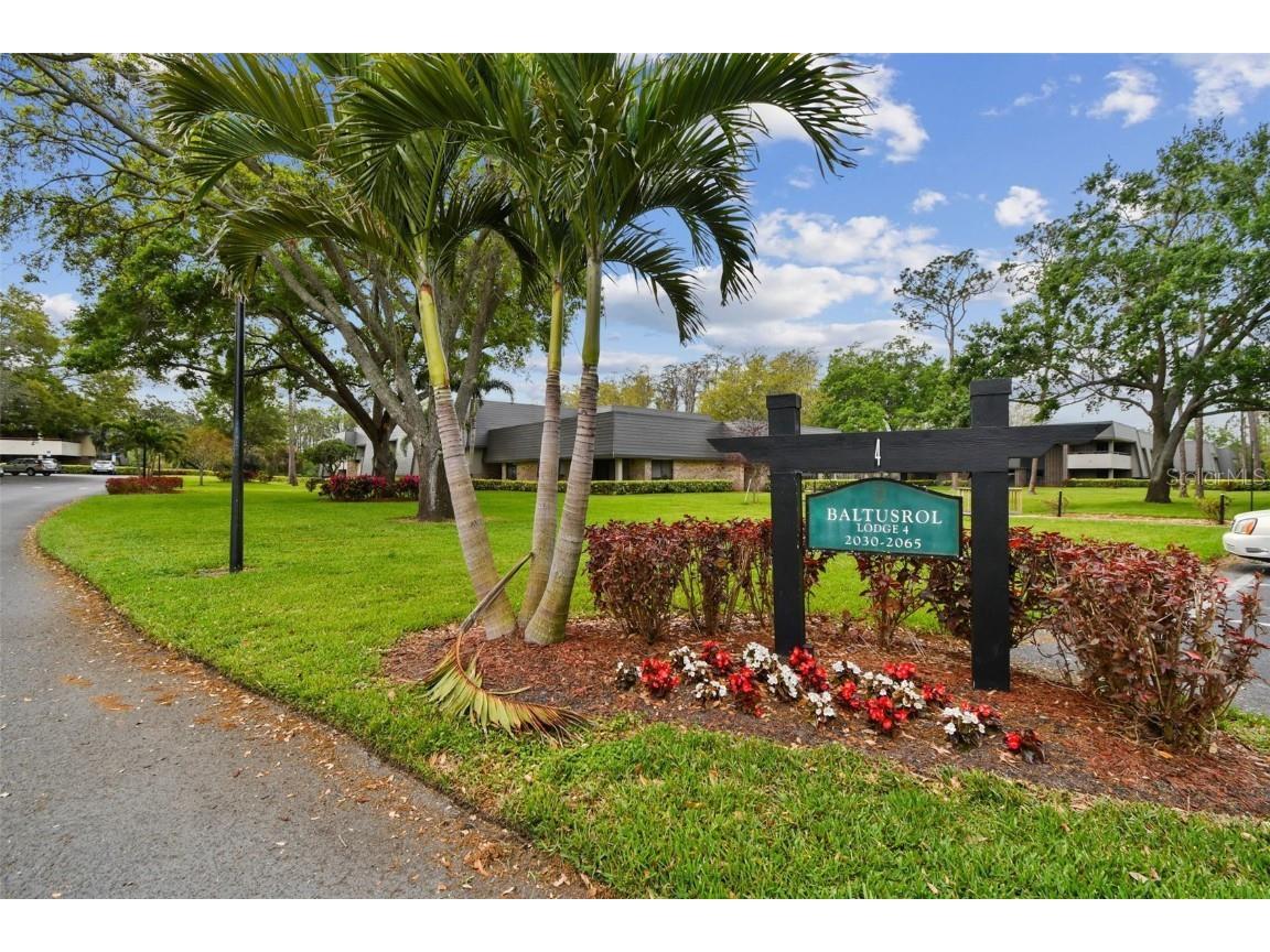 36750 Us 19 N #06211 Palm Harbor FL 34684 TB8363450 image1