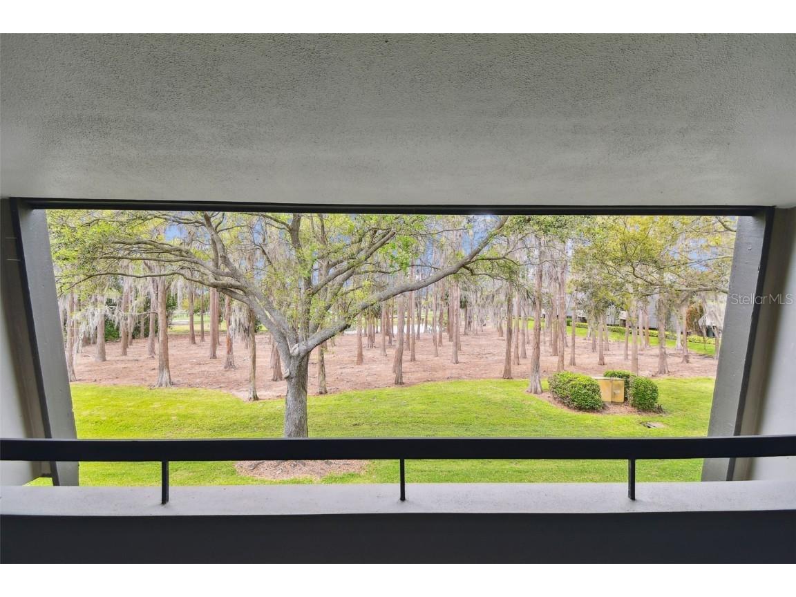 36750 Us 19 N #06211 Palm Harbor FL 34684 TB8363450 image2