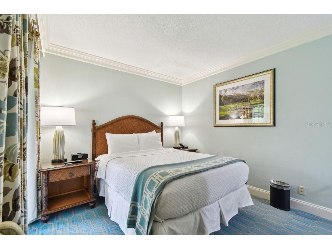 36750 Us 19 N #06211 Palm Harbor FL 34684 TB8363450 image25