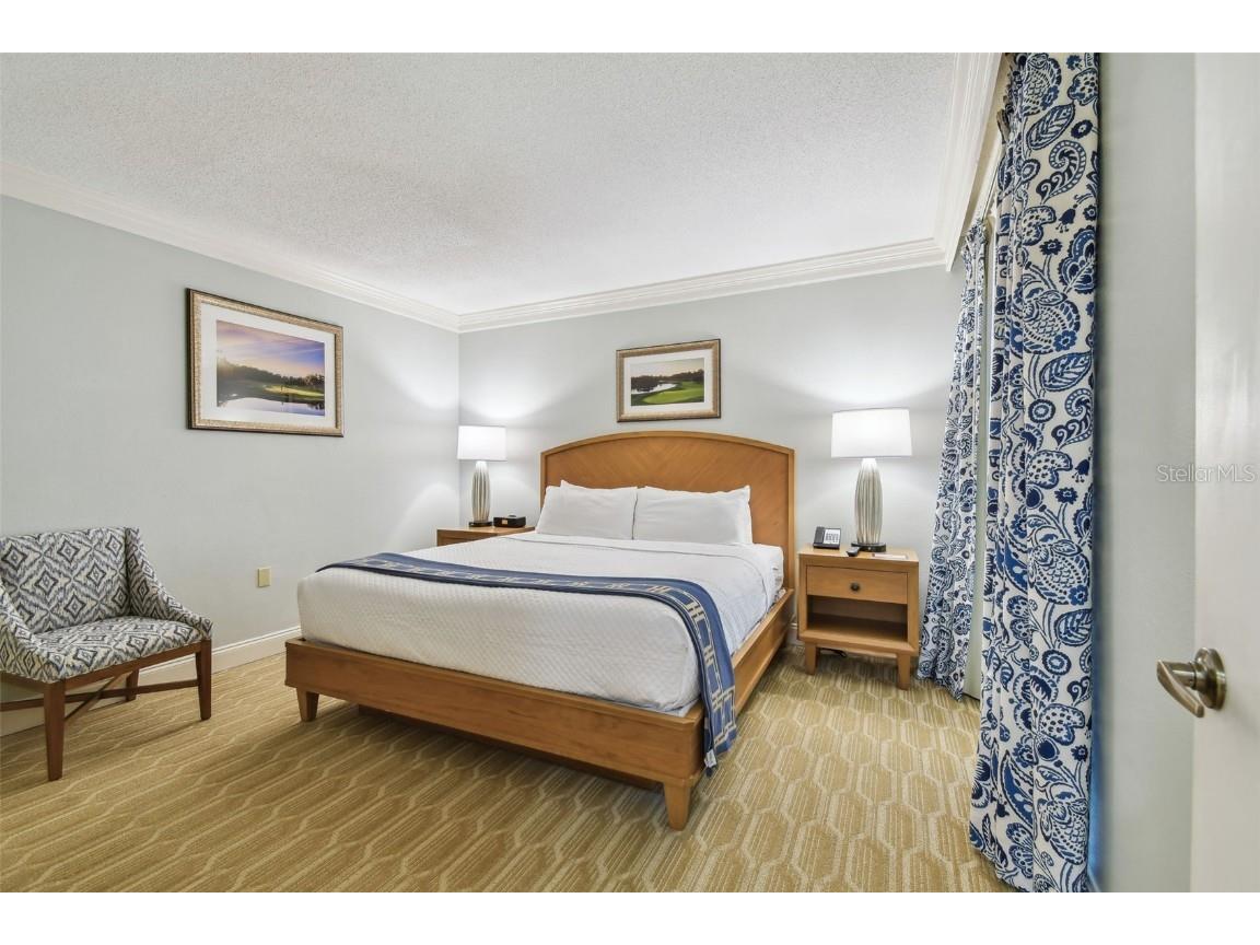 36750 Us 19 N #07208 Palm Harbor FL 34684 TB8386125 image24