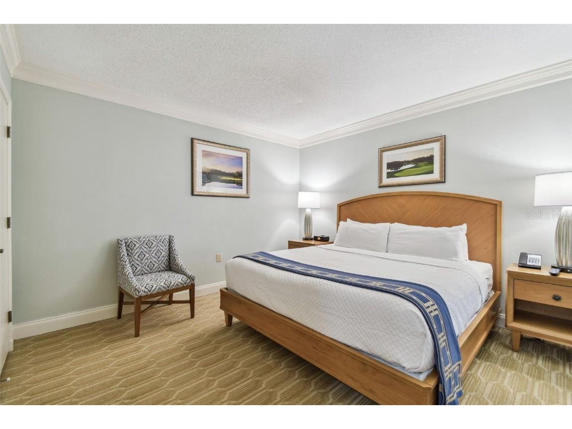 36750 Us 19 N #07208 Palm Harbor FL 34684 TB8386125 image25