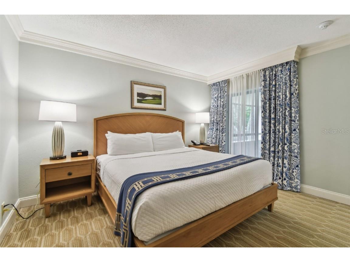 36750 Us 19 N #07208 Palm Harbor FL 34684 TB8386125 image26