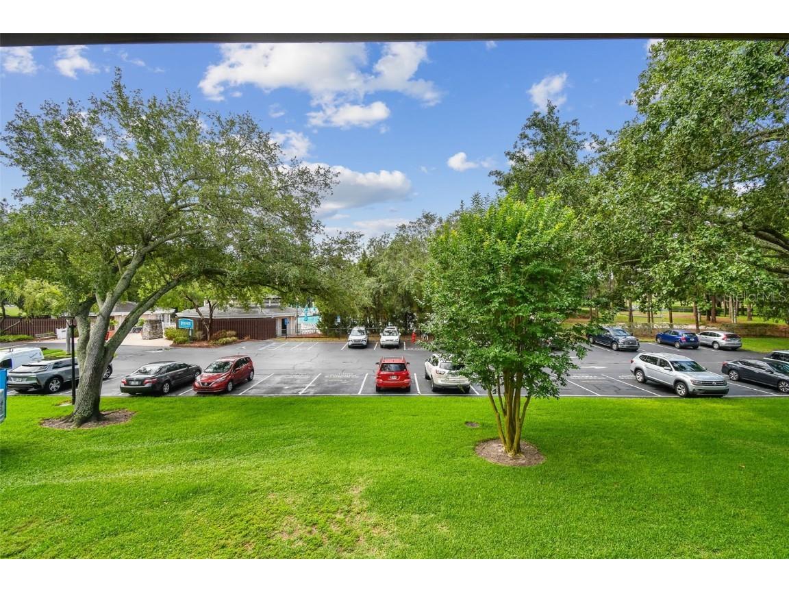 36750 Us 19 N #07208 Palm Harbor FL 34684 TB8386125 image34