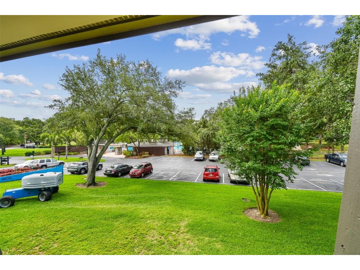 36750 Us 19 N #07208 Palm Harbor FL 34684 TB8386125 image36