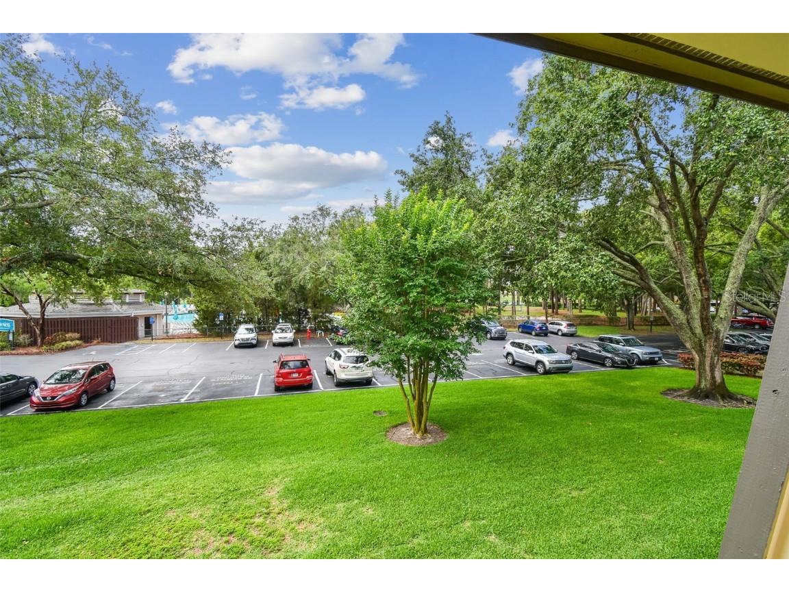 36750 Us 19 N #07208 Palm Harbor FL 34684 TB8386125 image37