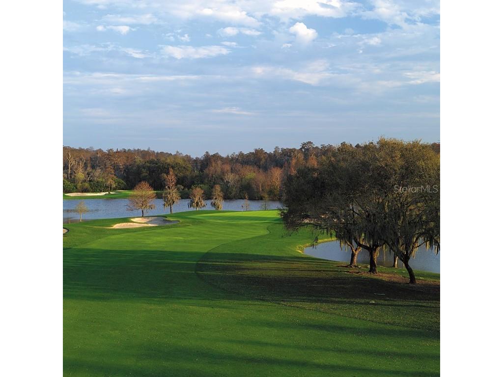 36750 Us 19 N #07208 Palm Harbor FL 34684 TB8386125 image61