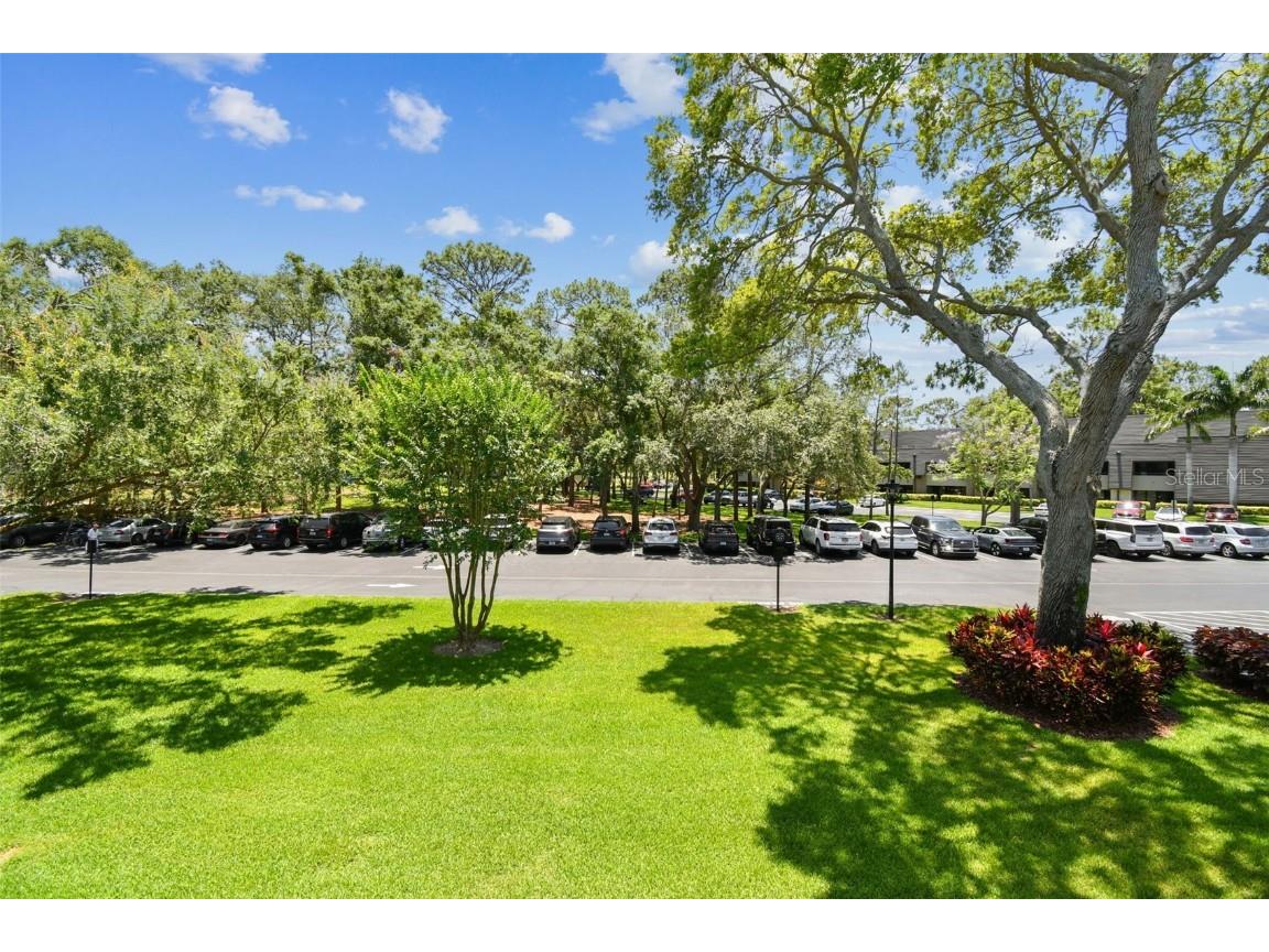 36750 Us 19 N #08204 Palm Harbor FL 34684 TB8388276 image41