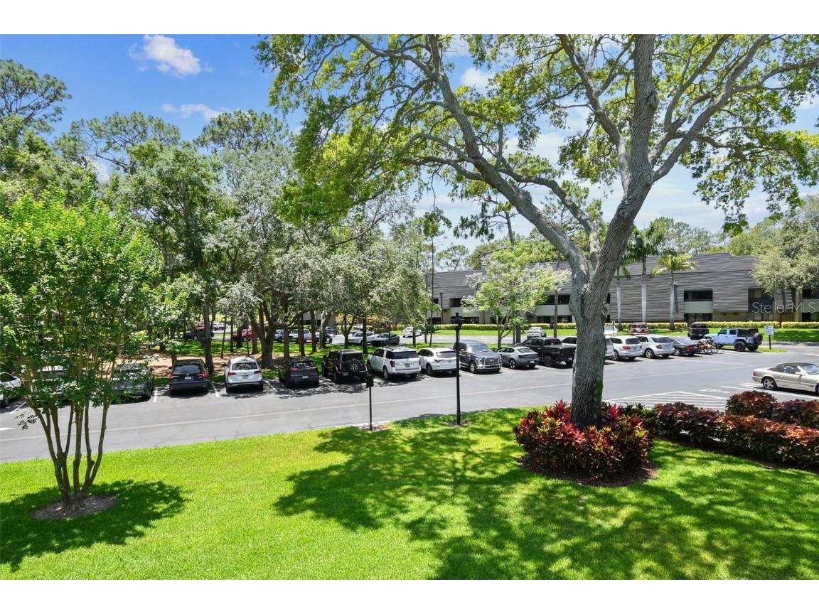 36750 Us 19 N #08204 Palm Harbor FL 34684 TB8388276 image42