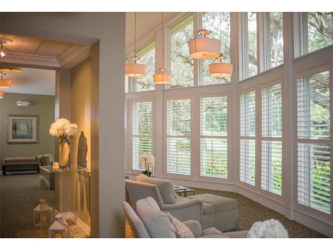 36750 Us 19 N #08204 Palm Harbor FL 34684 TB8388276 image46