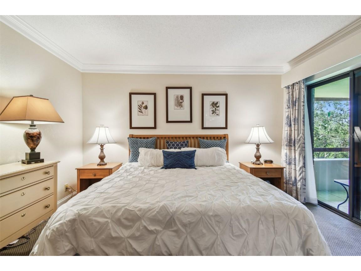 36750 Us 19 N #15309 Palm Harbor FL 34684 TB8388256 image31