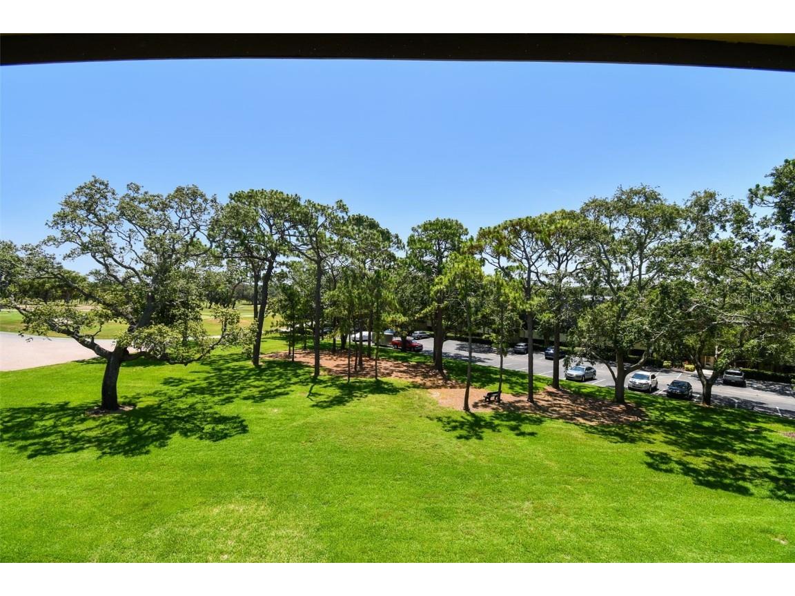 36750 Us 19 N #15309 Palm Harbor FL 34684 TB8388256 image34