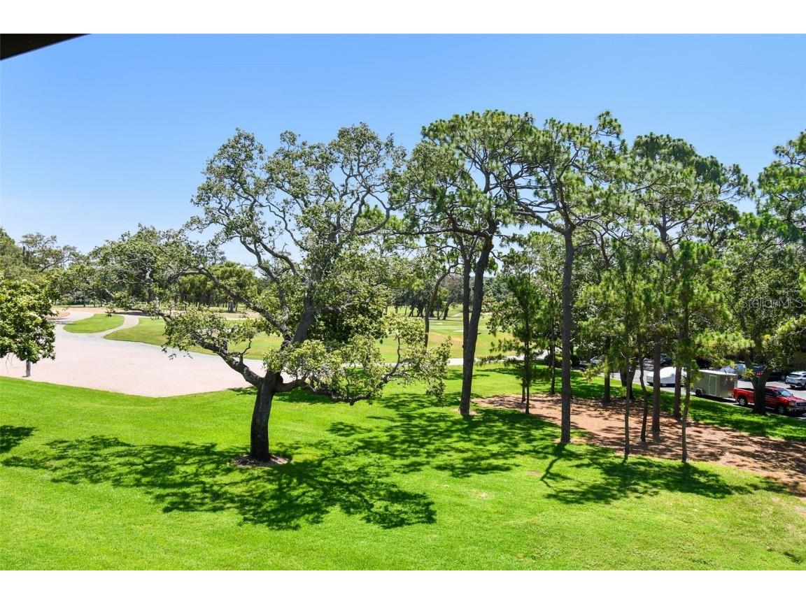 36750 Us 19 N #15309 Palm Harbor FL 34684 TB8388256 image35