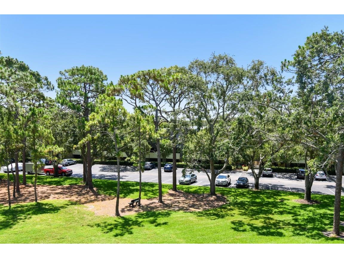 36750 Us 19 N #15309 Palm Harbor FL 34684 TB8388256 image36