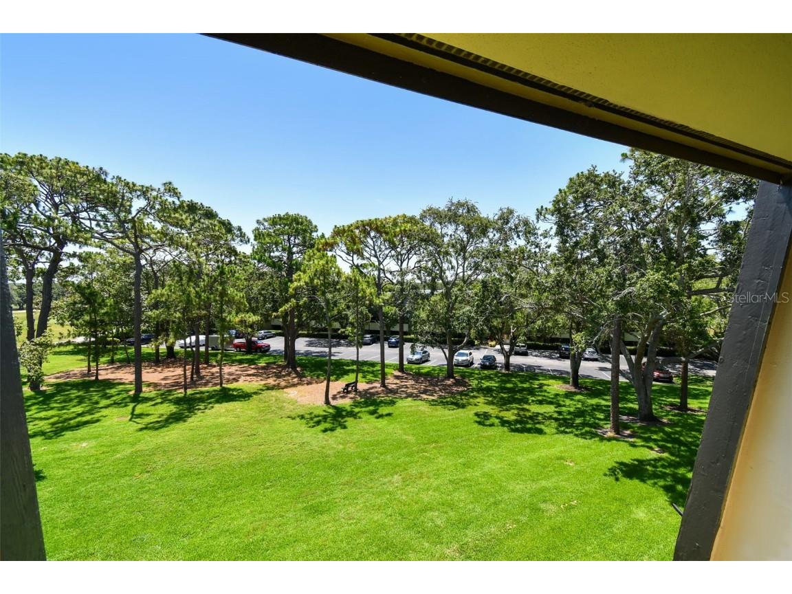 36750 Us 19 N #15309 Palm Harbor FL 34684 TB8388256 image37