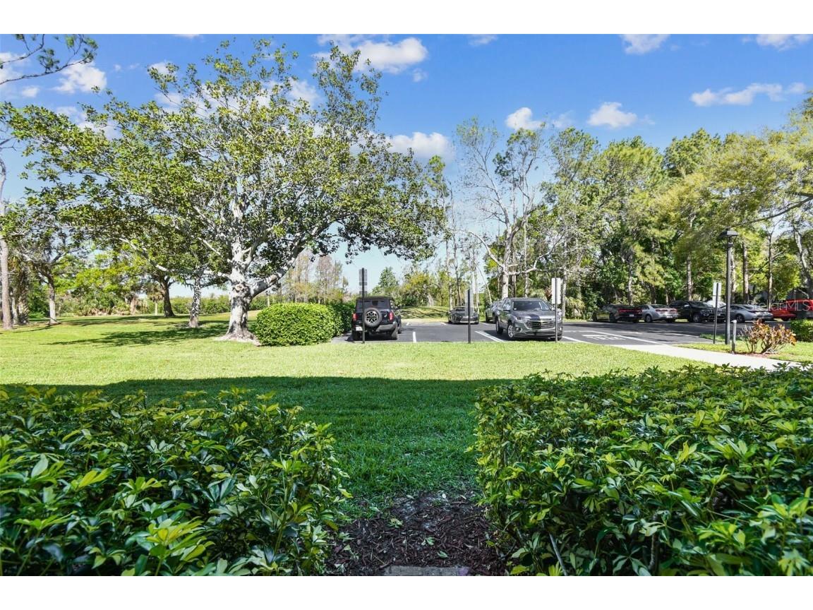 36750 Us 19 N #17106 Palm Harbor FL 34684 TB8363535 image32