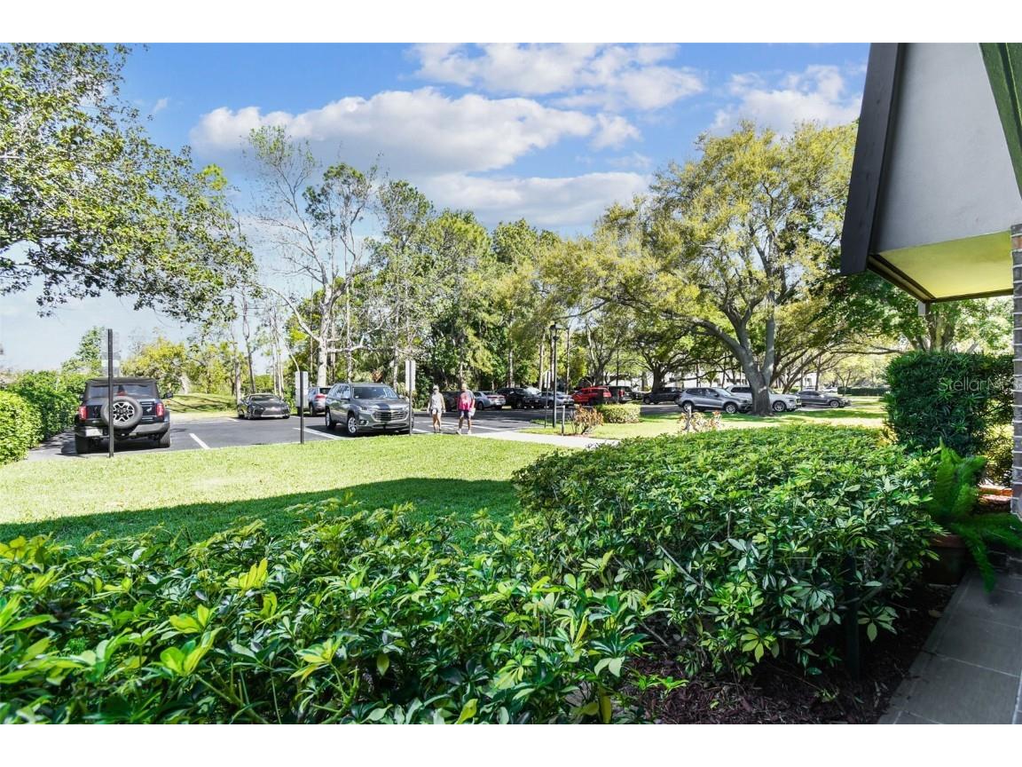 36750 Us 19 N #17106 Palm Harbor FL 34684 TB8363535 image33