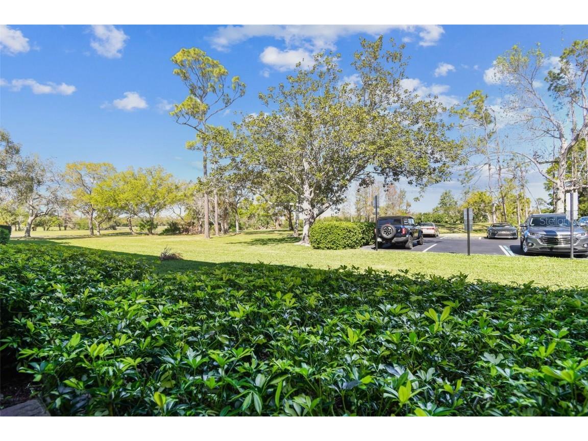 36750 Us 19 N #17106 Palm Harbor FL 34684 TB8363535 image35