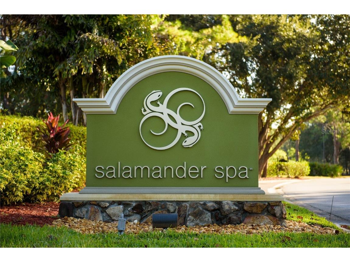 36750 Us 19 N #17106 Palm Harbor FL 34684 TB8363535 image36