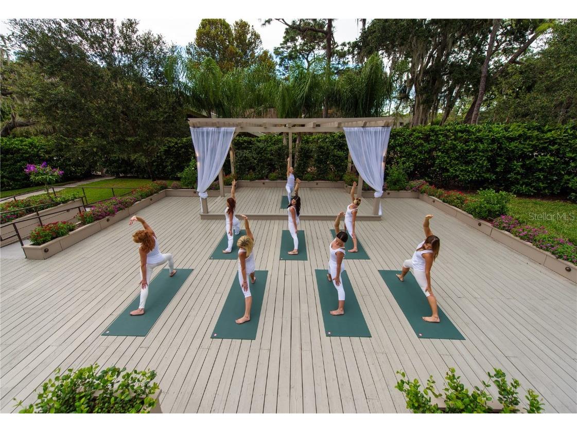 36750 Us 19 N #17106 Palm Harbor FL 34684 TB8363535 image40