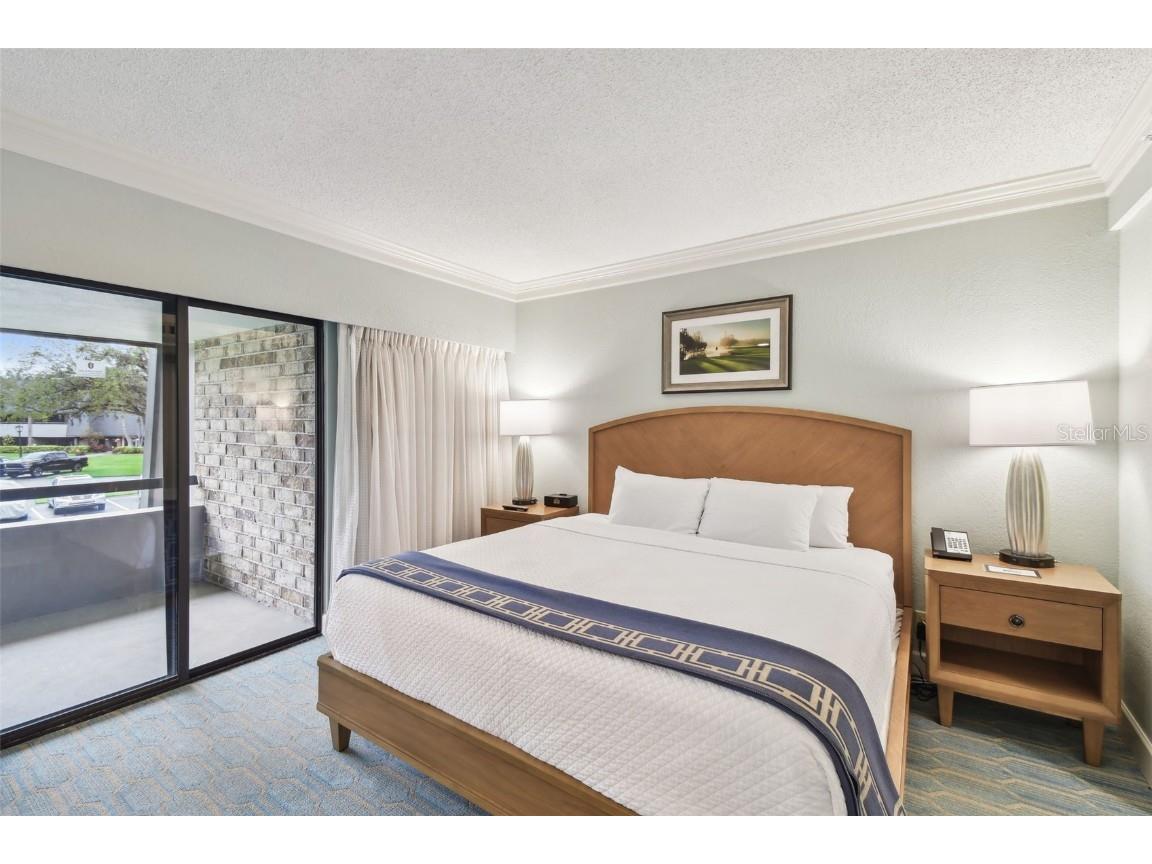 36750 Us 19 N #19212 Palm Harbor FL 34684 TB8363361 image19