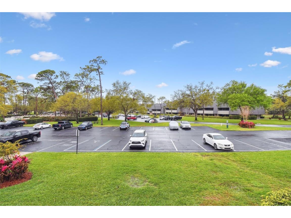 36750 Us 19 N #19212 Palm Harbor FL 34684 TB8363361 image29