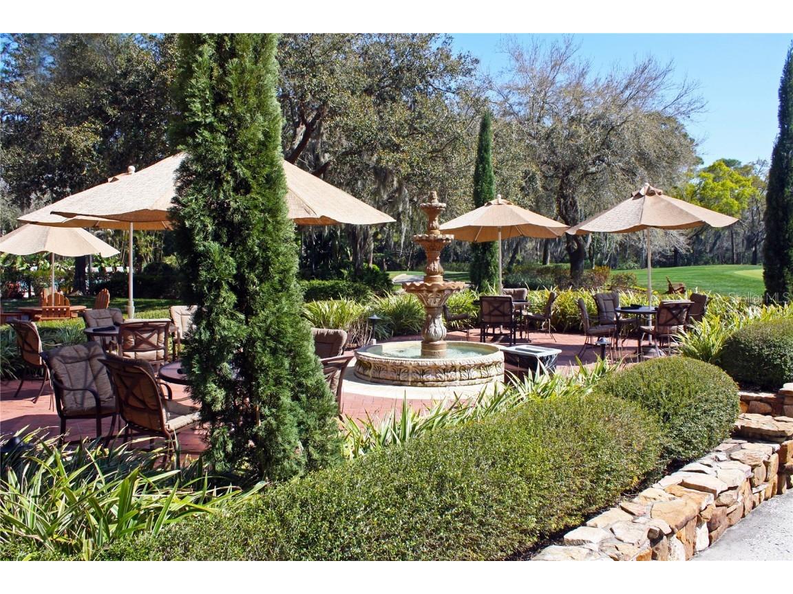 36750 Us 19 N #19212 Palm Harbor FL 34684 TB8363361 image45