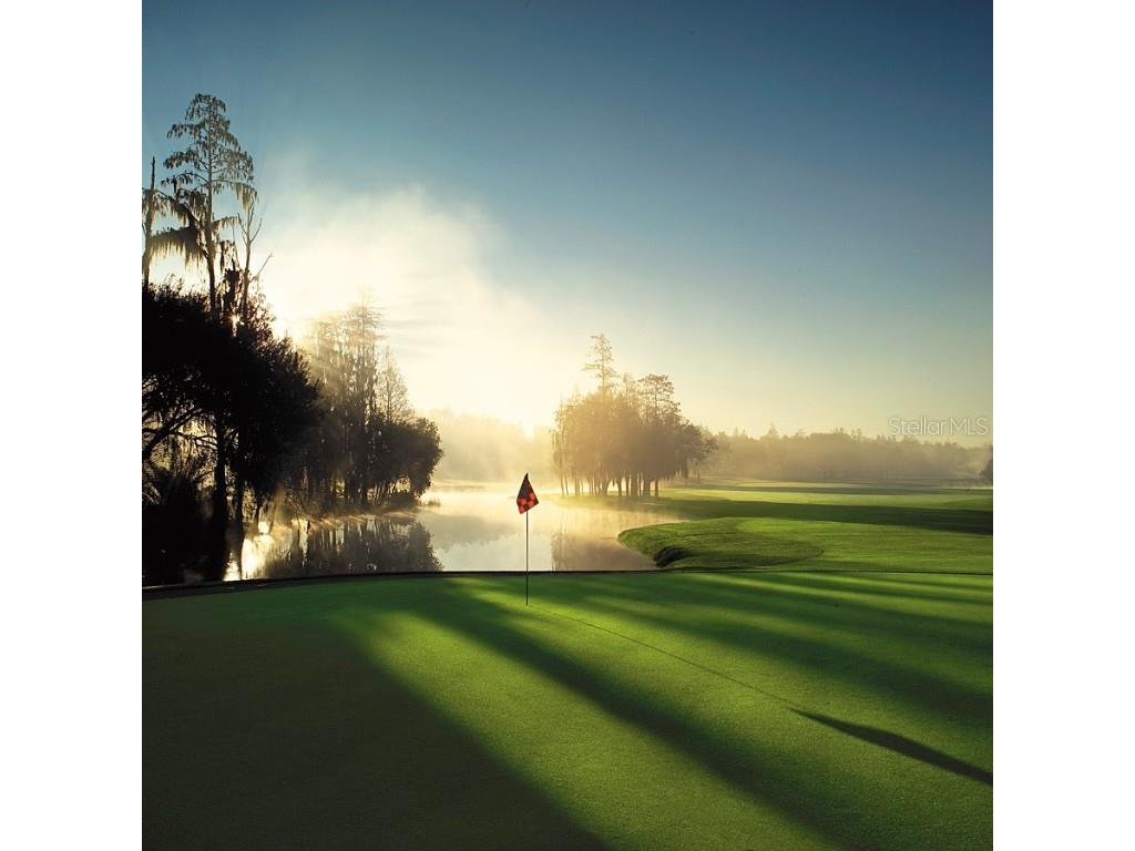 36750 Us 19 N #19212 Palm Harbor FL 34684 TB8363361 image54