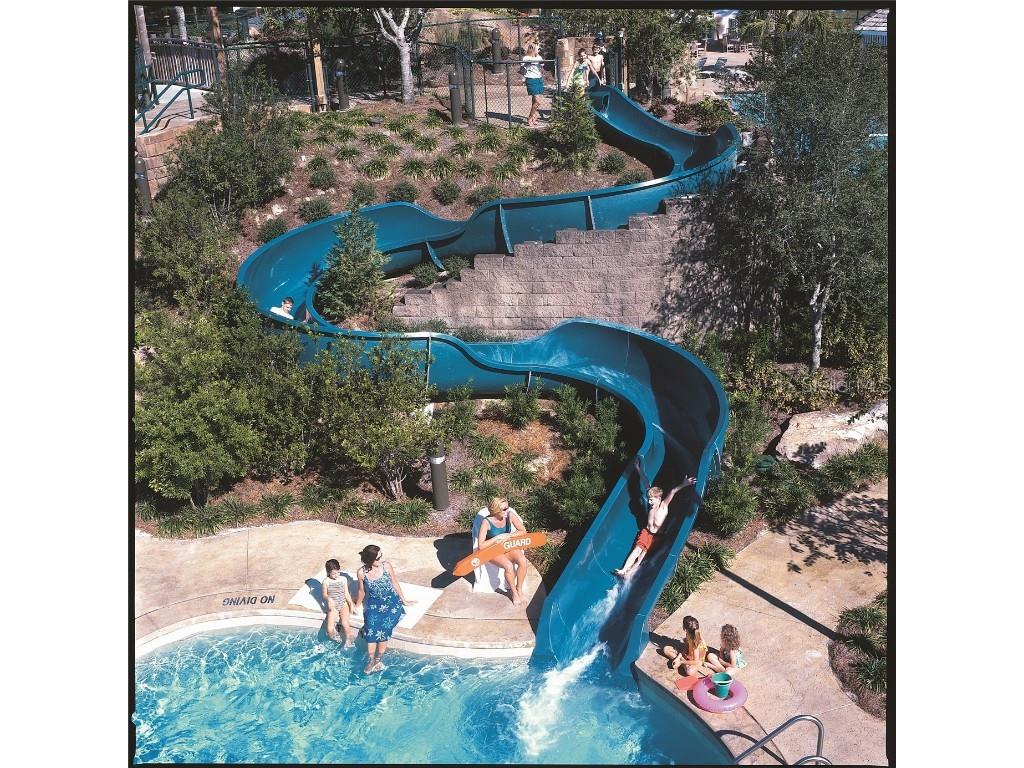 36750 Us 19 N #20211 Palm Harbor FL 34684 TB8366782 image33