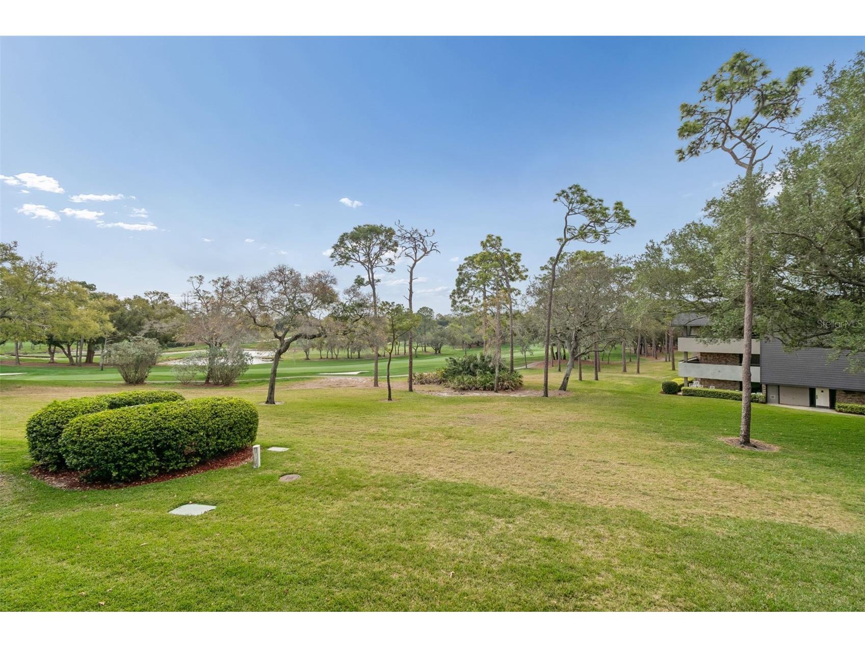 36750 Us 19 N #22207 Palm Harbor FL 34684 TB8363512 image30