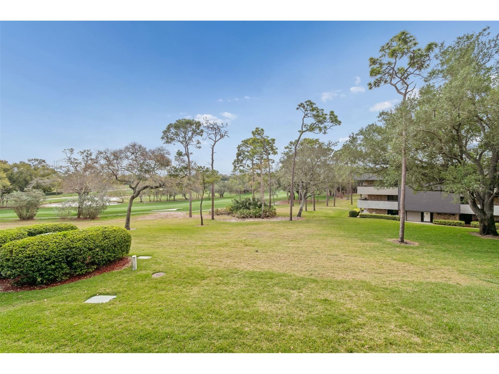 36750 Us 19 N #22207 Palm Harbor FL 34684 TB8363512 image31