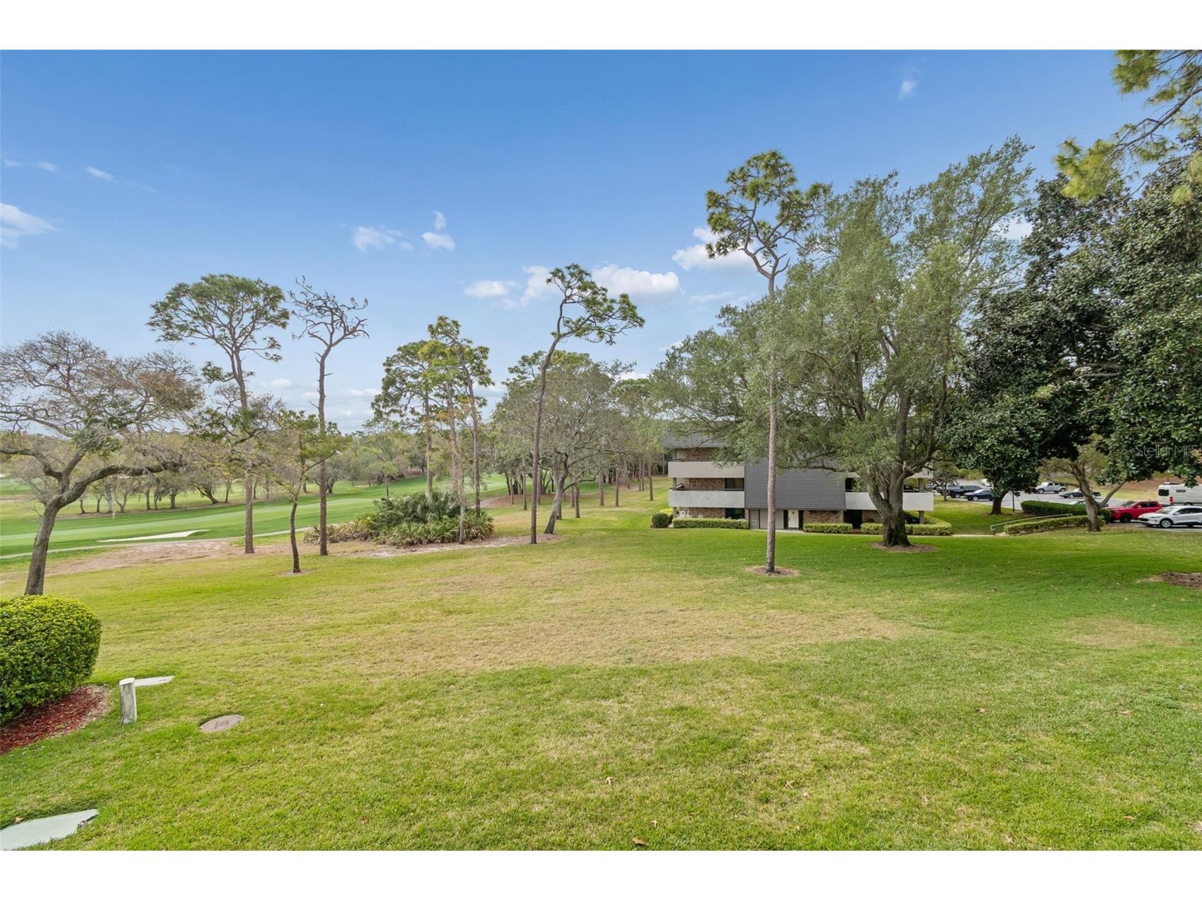 36750 Us 19 N #22207 Palm Harbor FL 34684 TB8363512 image32