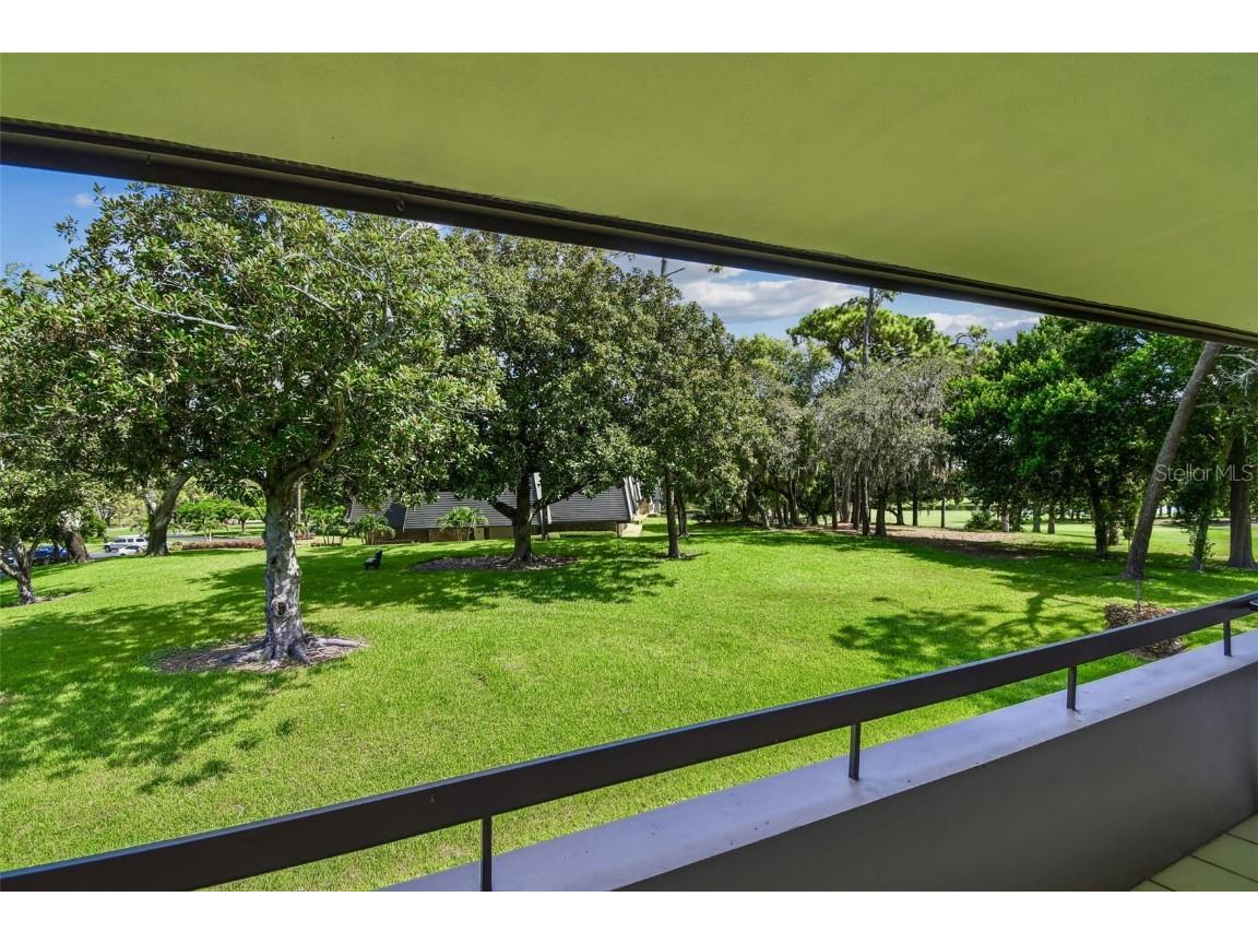 36750 Us 19 N #22212 Palm Harbor FL 34684 TB8369872 image44