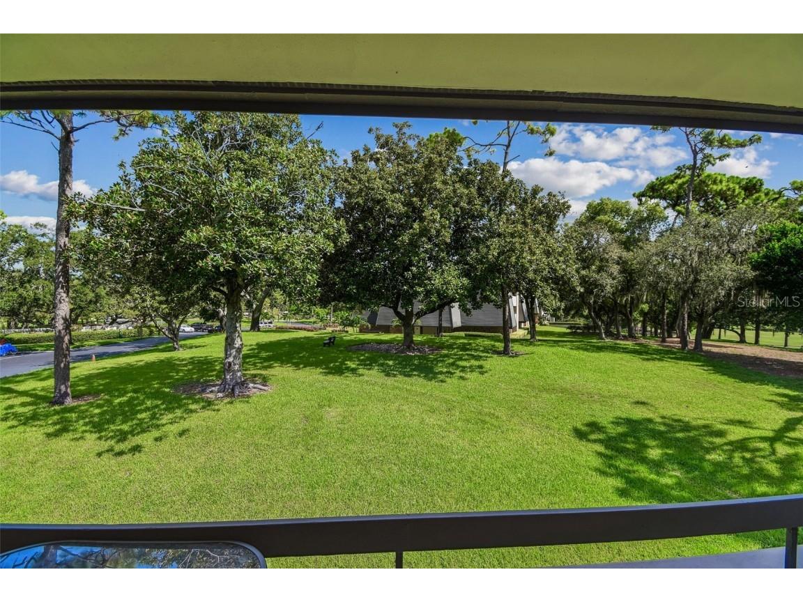 36750 Us 19 N #22212 Palm Harbor FL 34684 TB8369872 image45