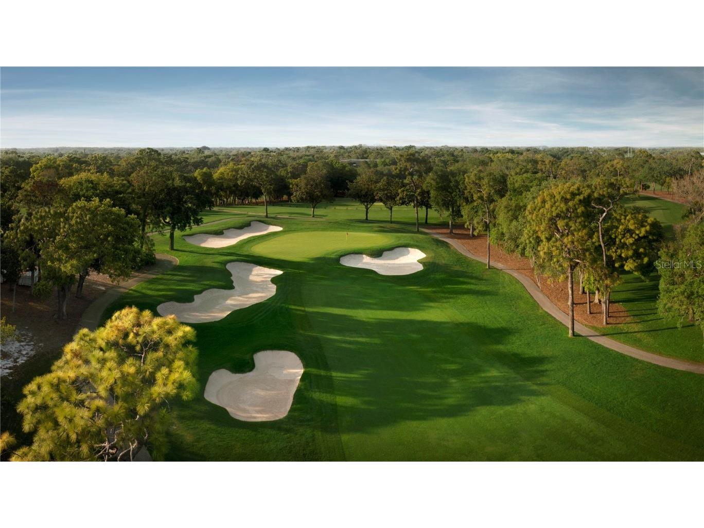 36750 Us 19 N #22212 Palm Harbor FL 34684 TB8369872 image76