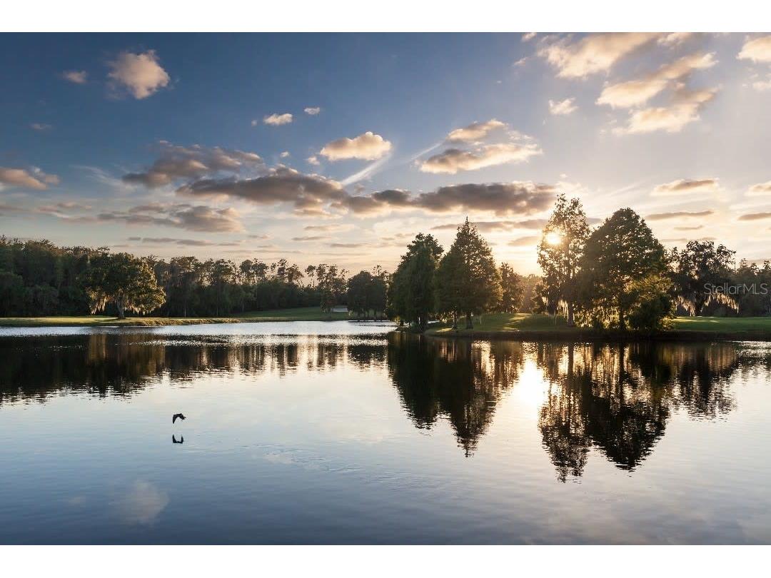 36750 Us 19 N #22212 Palm Harbor FL 34684 TB8369872 image78