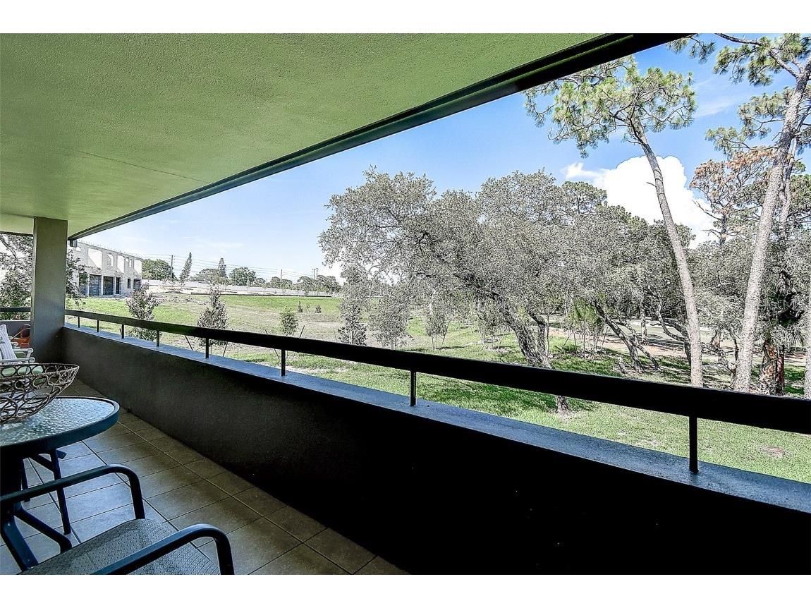 36750 Us 19 N #24-213 Palm Harbor FL 34684 TB8391005 image30