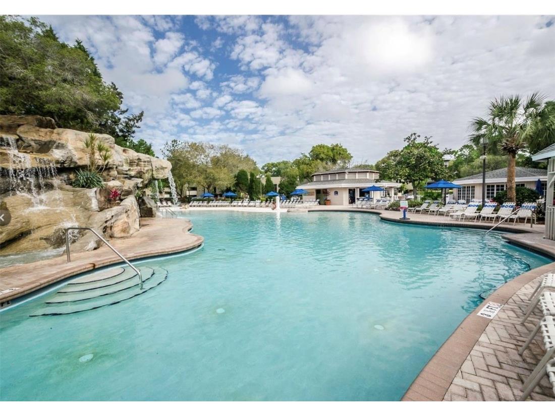 36750 Us 19 N #24-213 Palm Harbor FL 34684 TB8391005 image36