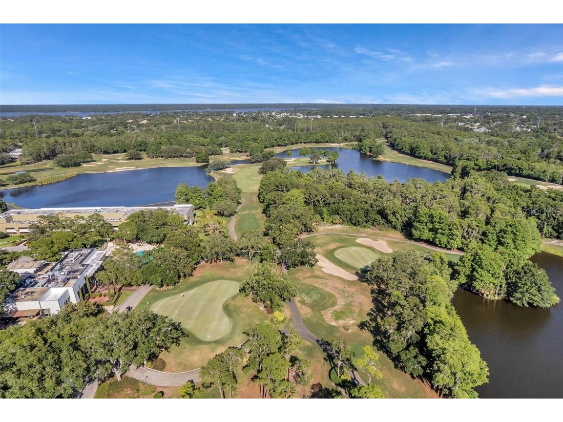 36750 Us 19 N #2763 Palm Harbor FL 34684 TB8364520 image37