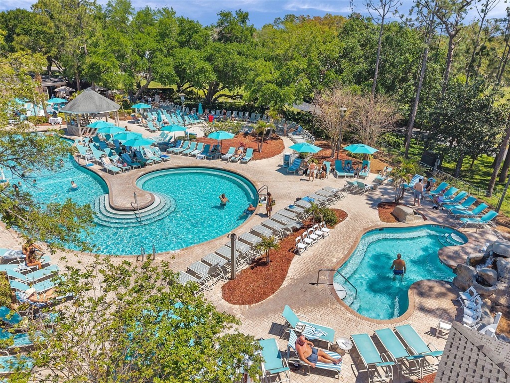 36750 Us 19 N #2763 Palm Harbor FL 34684 TB8364520 image41