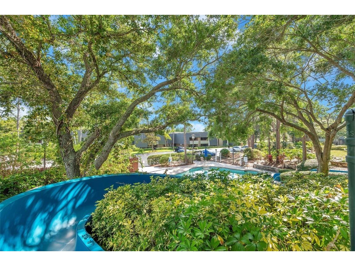 36750 Us 19 N #2763 Palm Harbor FL 34684 TB8364520 image45