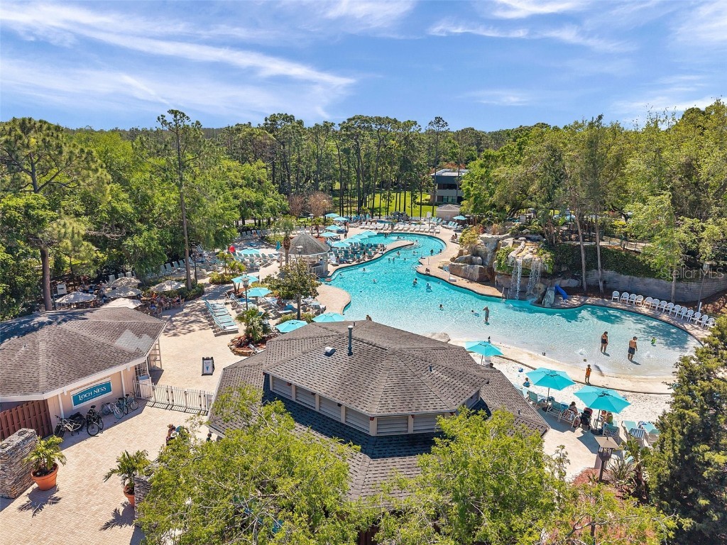 36750 Us 19 N #2763 Palm Harbor FL 34684 TB8364520 image48