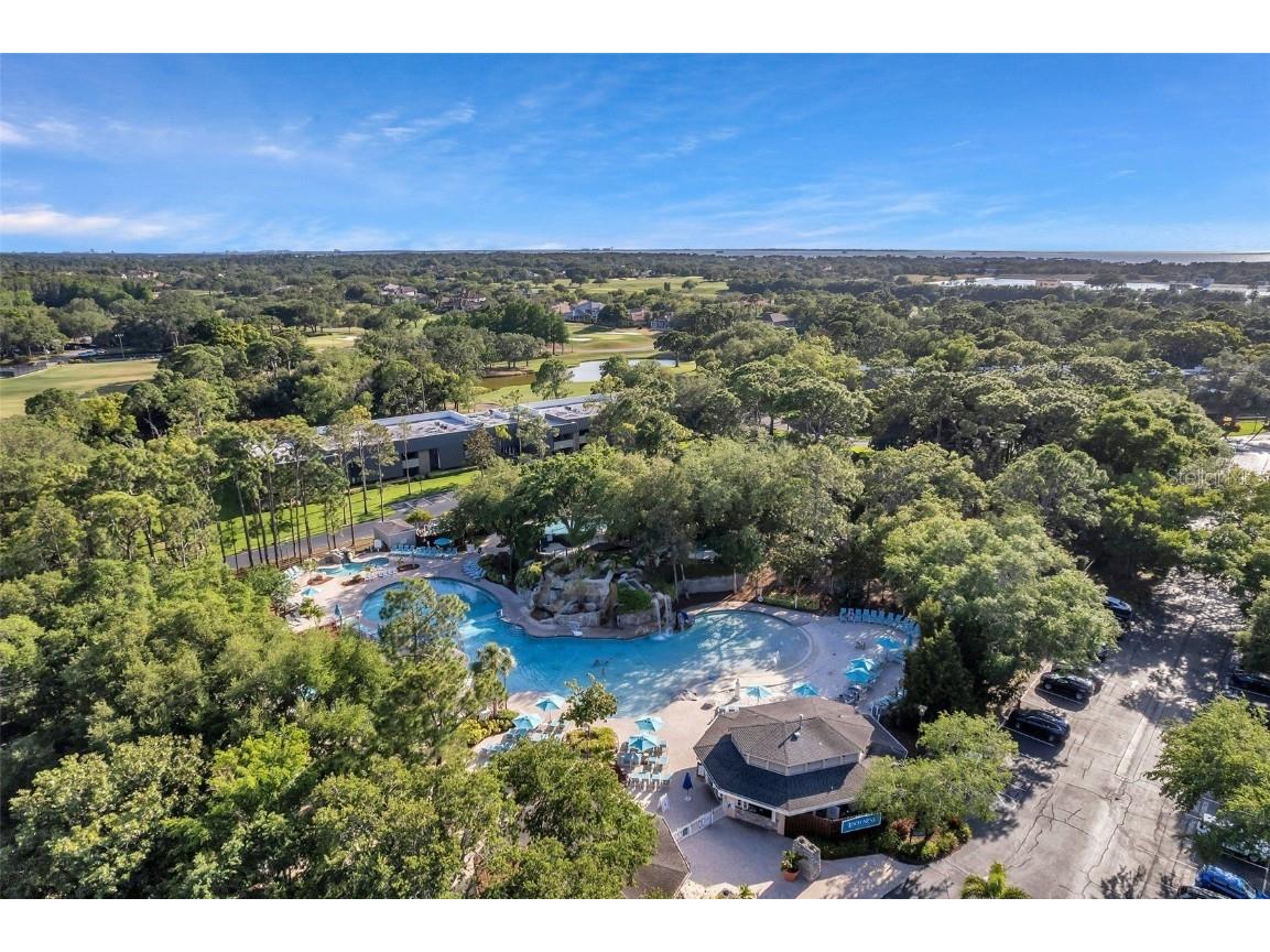 36750 Us 19 N #2763 Palm Harbor FL 34684 TB8364520 image56