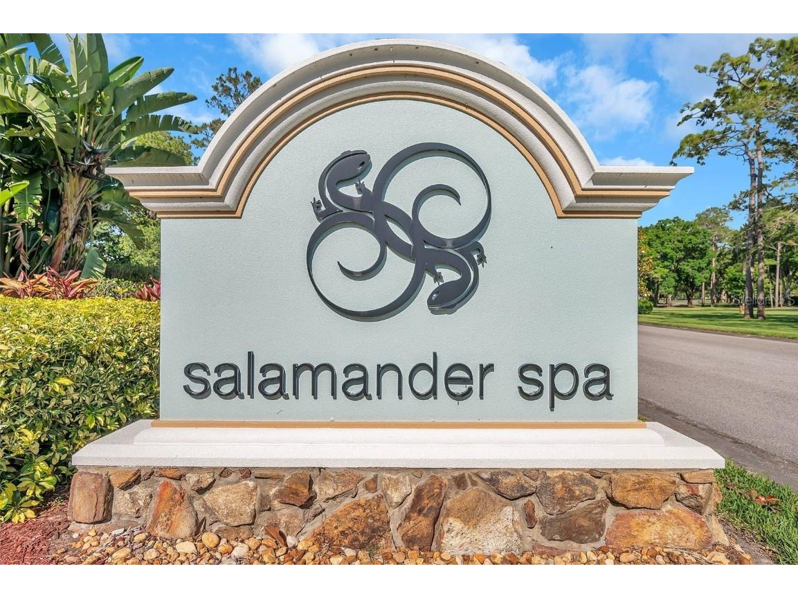 36750 Us 19 N #2763 Palm Harbor FL 34684 TB8364520 image63