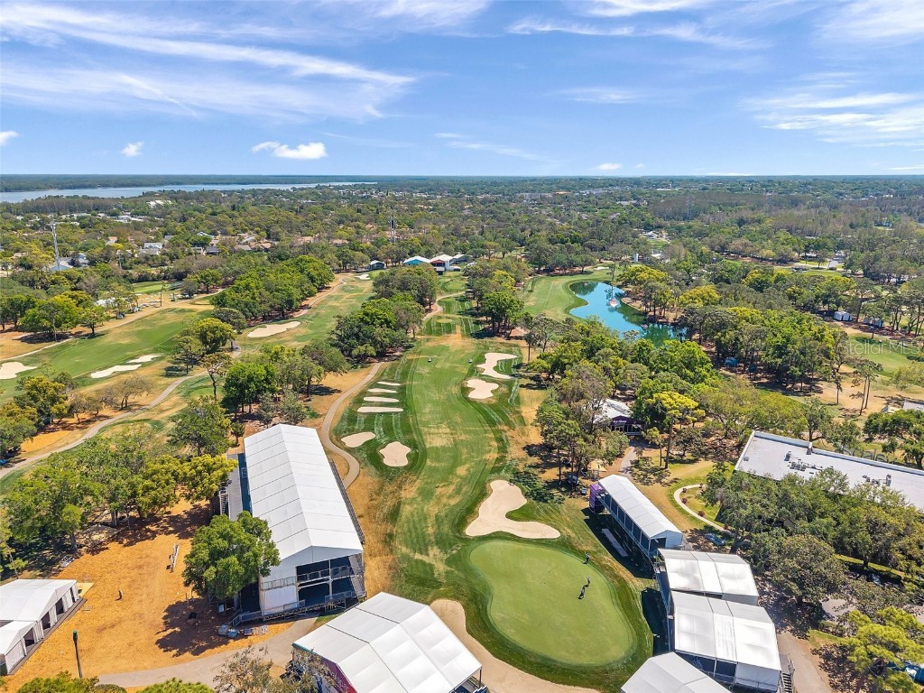 36750 Us 19 N #2763 Palm Harbor FL 34684 TB8364520 image66