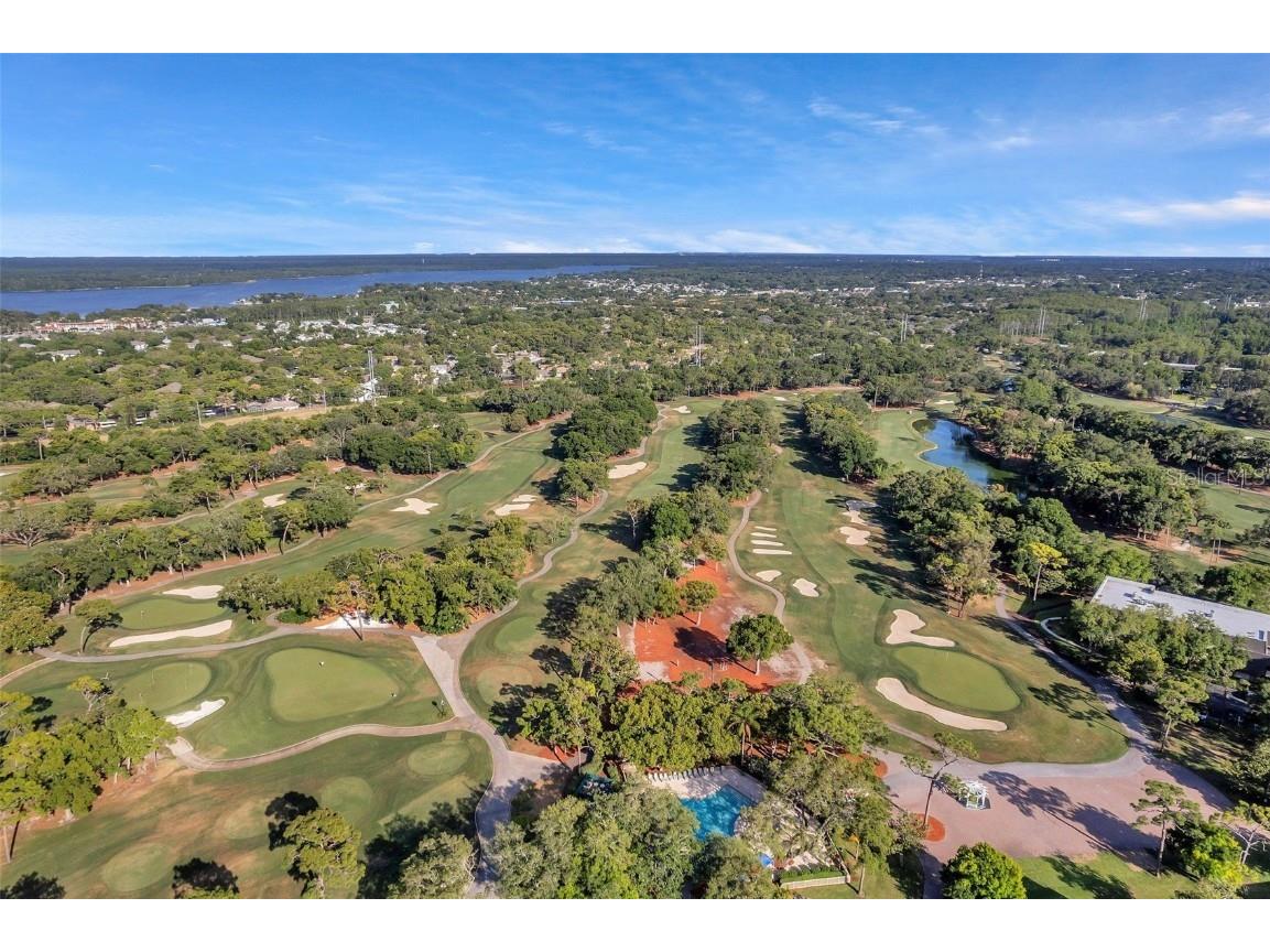 36750 Us 19 N #2763 Palm Harbor FL 34684 TB8364520 image68