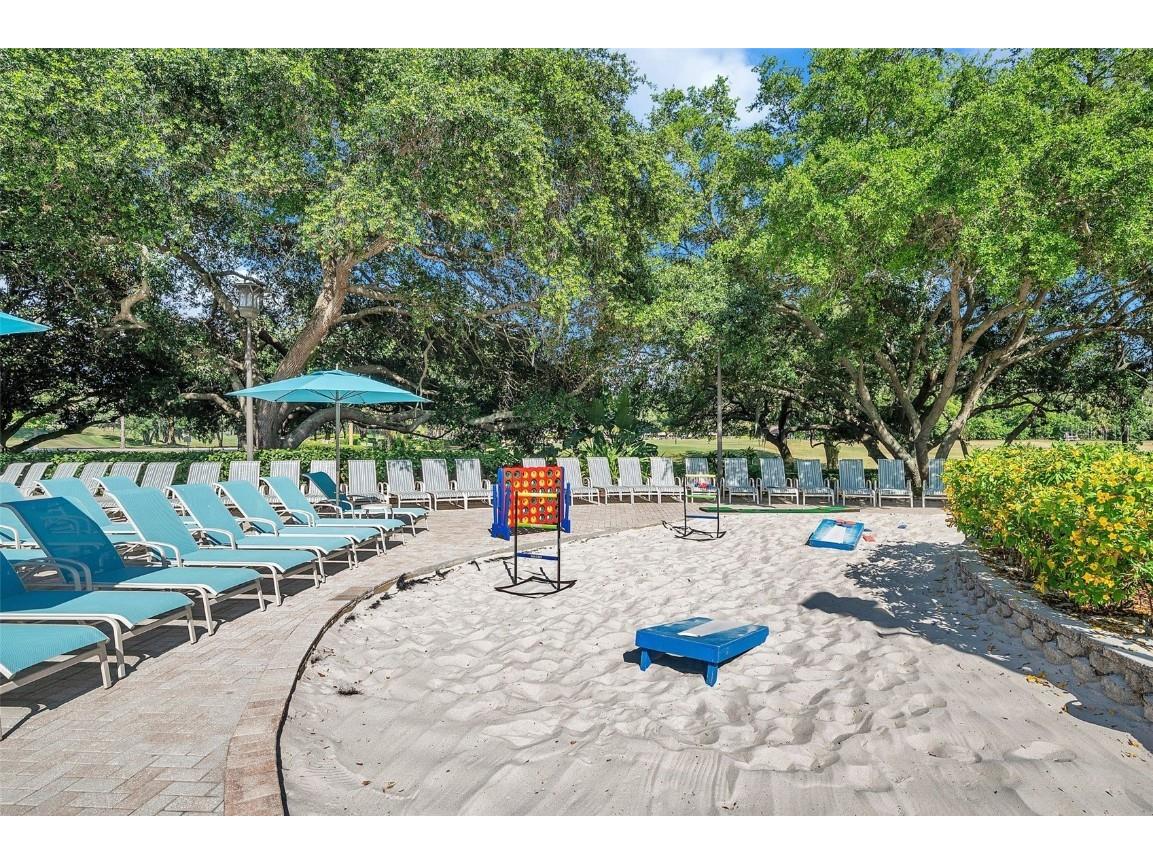 36750 Us 19 N #2763 Palm Harbor FL 34684 TB8364520 image69