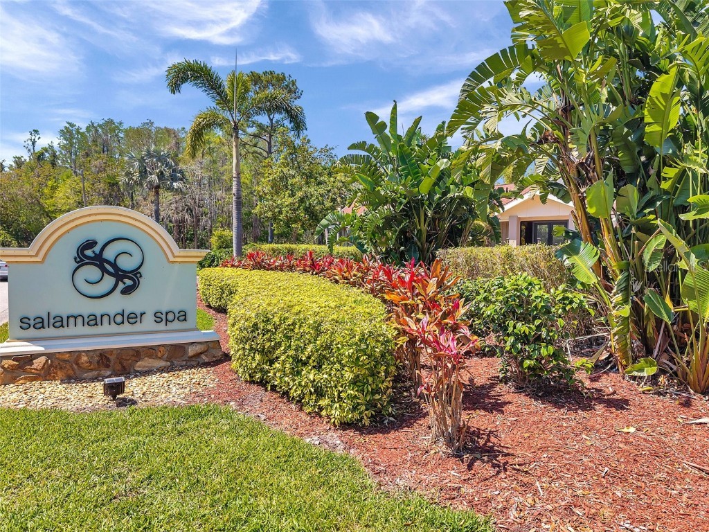 36750 Us 19 N #2763 Palm Harbor FL 34684 TB8364520 image76